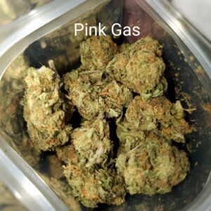 Pink gas strain THC medical marijuana Cannabis weed bud delivery dispensary Mississauga GTA Oakville Kitchener Cambridge Waterloo Ontario