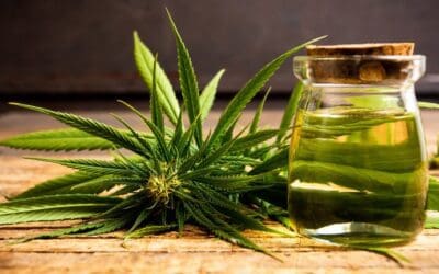 20 Health benefits of cannabis that everyone should know
