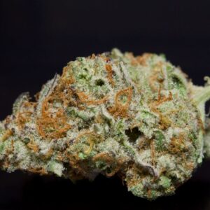 Tropical Punch-Sativa