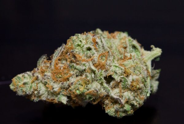 Tropical Punch-Sativa