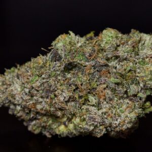 Pink Comet LSO-Indica