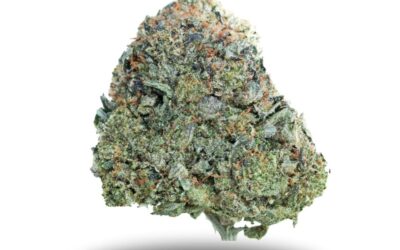 Green Gas – Indica