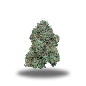 Gas Mask - Indica